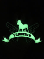 Triggered Acrylic GITD v2 Logo
